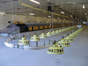 feeding-line- nest equipment