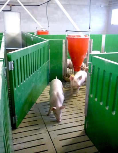 цельнолитые пластиковые панели ограждения для свиней